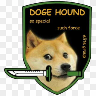 chatdoge